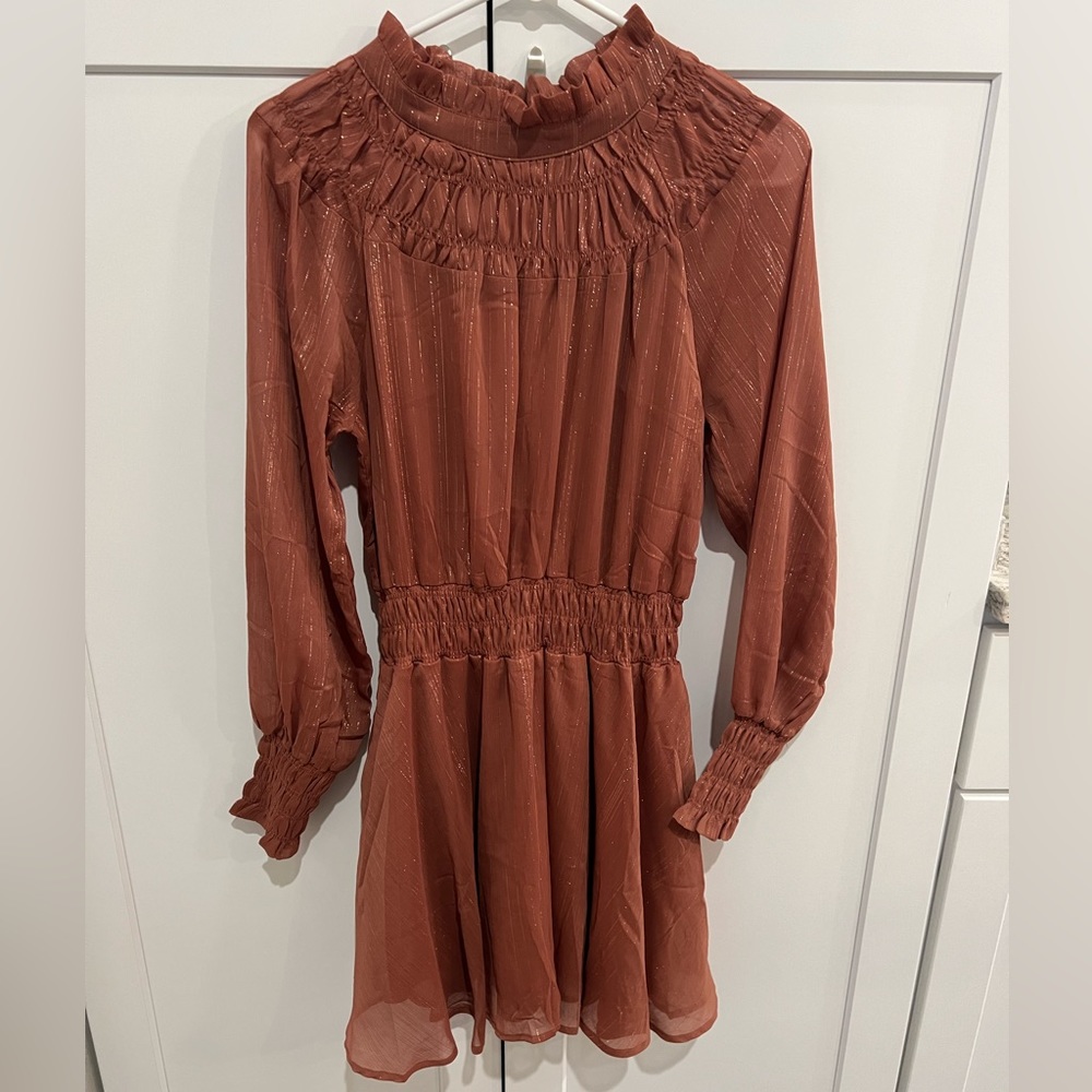 The Impeccable Pig Small Copper Dress